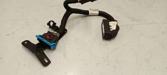 Other wiring loom