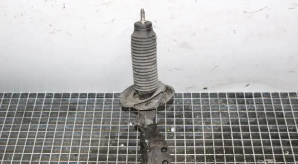 Opel Antara Front shock absorber/damper