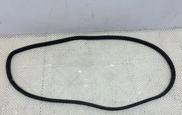 Jeep Grand Cherokee Rubber seal front door (on door) 55399173