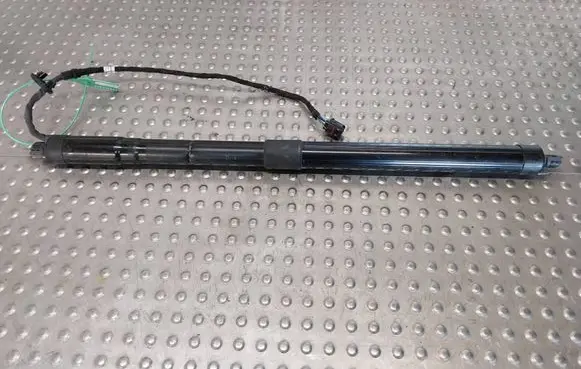 Tailgate strut