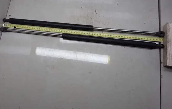 Tailgate/trunk strut/damper