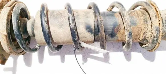 Rear coil spring