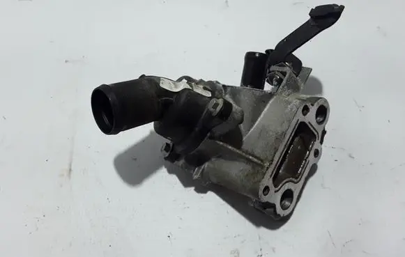 Dacia Dokker Thermostat 8200729688