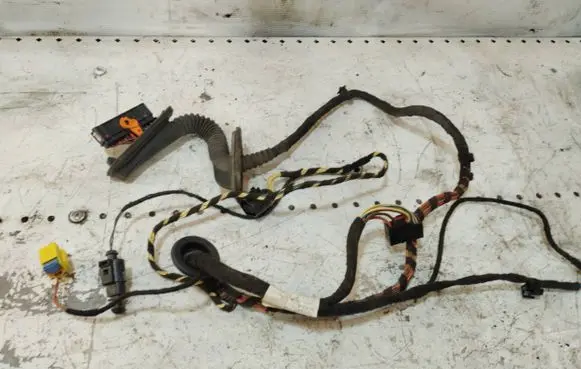 Volkswagen PASSAT CC Front door wiring loom 3C8971120
