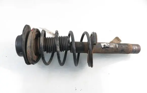 Peugeot 206 Front shock absorber with coil spring