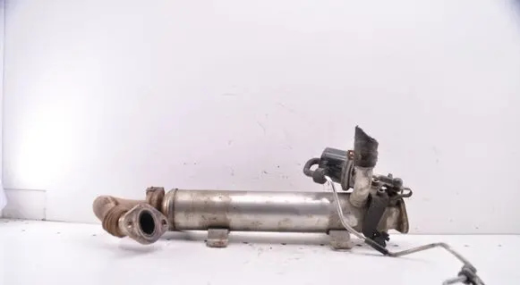 EGR valve
