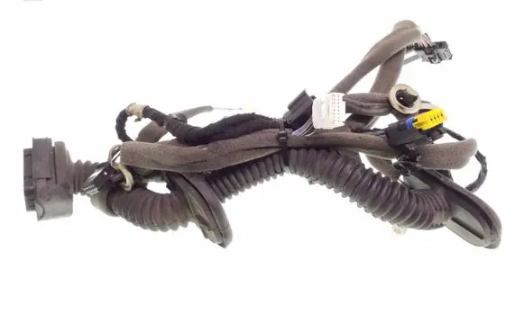 Renault Megane III Front door wiring loom 241250055R