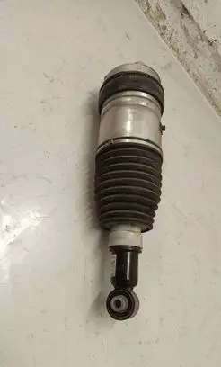 BMW 5 G60 Rear shock absorber/damper 24222210