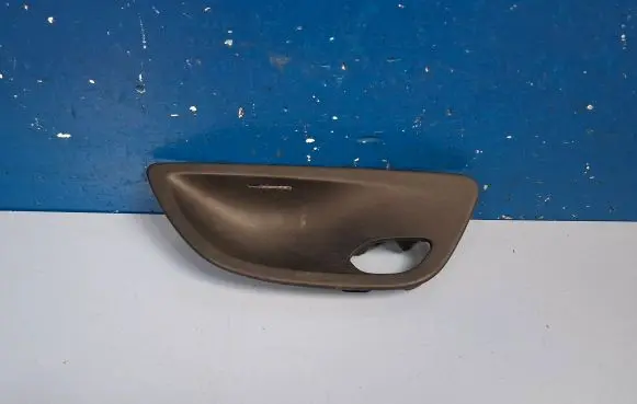 Other rear door trim element