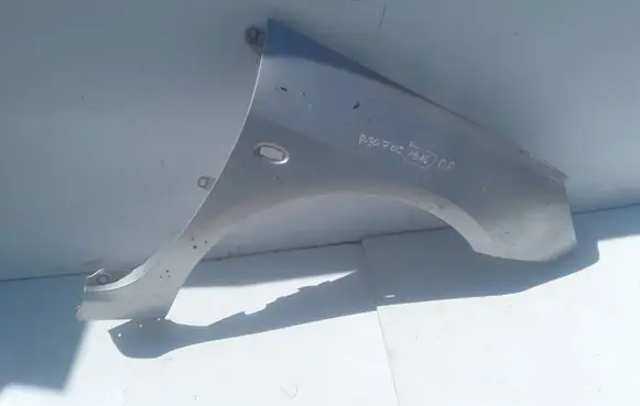 Peugeot 307 Fender