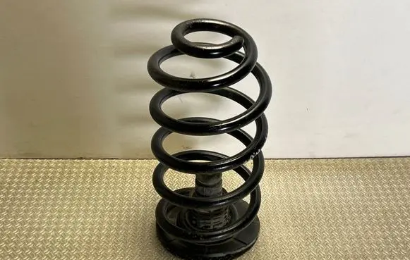 Rear coil spring