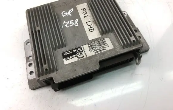 Hyundai Galloper Engine control unit/module 3910022230