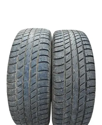 Volkswagen Routan R17 summer tire 