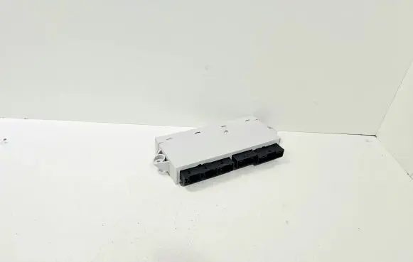 BMW 7 E65 E66 Door control unit/module 69641399