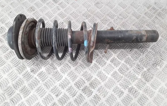 Peugeot 206 Front shock absorber with coil spring