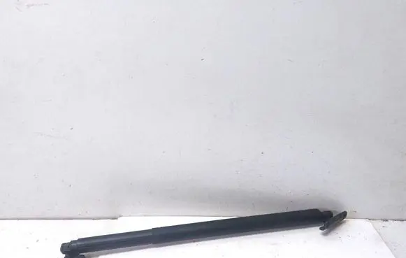 KIA Sorento Tailgate strut 81841P2100