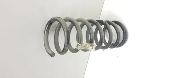 Ford Fusion II Rear coil spring DG9C5560FNE