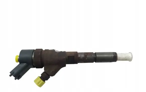 Peugeot Boxer Fuel injector 0445110076
