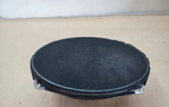 Chrysler Grand Voyager V Rear door speaker 05081669AC