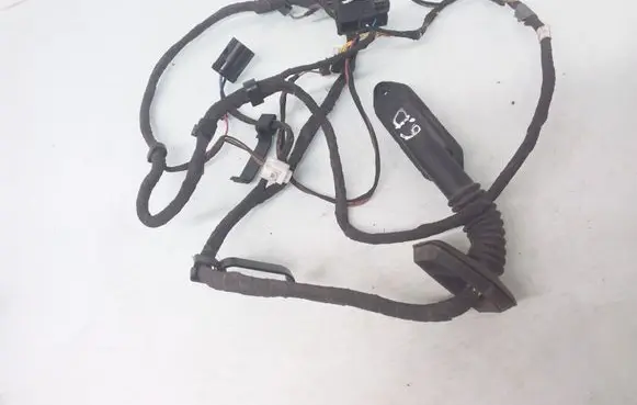 Rear door wiring loom