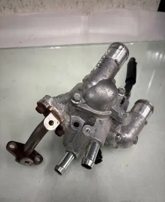 Thermostat/thermostat housing
