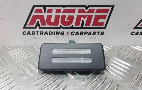 BMW X3 F25 Rear seat light 6962013