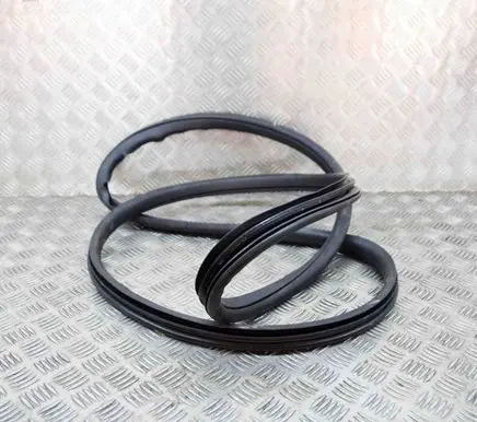 Land Rover Discovery Sport Rubber seal front coupe door FK7220708A