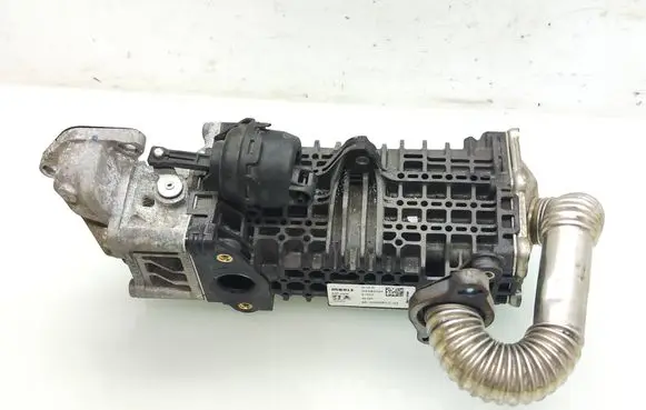 Citroen Berlingo EGR valve cooler 9813050280 GS988004 461000