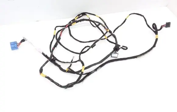 Tesla Model S Other wiring loom P106797000E