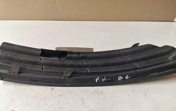Volkswagen PASSAT B6 Front bumper lower grill 3C0853665