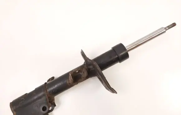 Nissan Qashqai Front shock absorber/damper 54302JD01A 824903002933