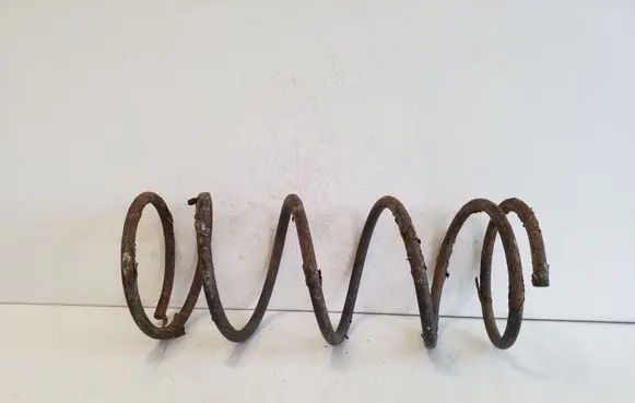 Rear coil spring