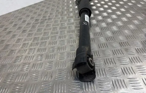 BMW 2 F46 Rear shock absorber/damper 6870081 16B181LD0125