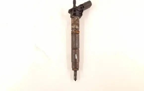 Mercedes-Benz R W251 Fuel injector 6420700587 6420701987