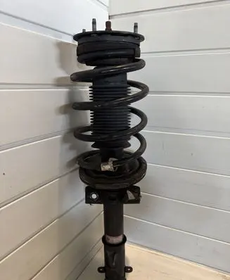 Ford Mustang V Front shock absorber with coil spring