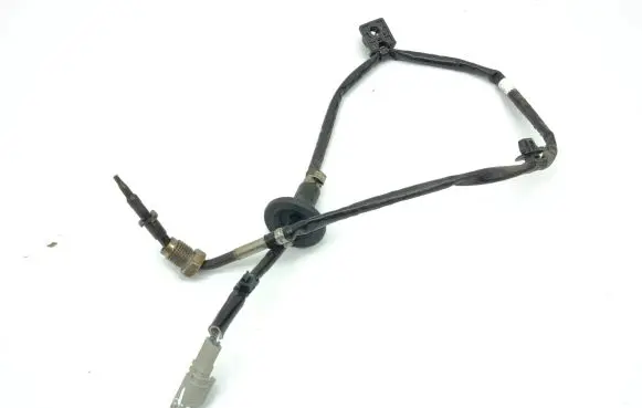 Hyundai i20 (BC3 BI3) Exhaust gas temperature sensor 3923007BC1