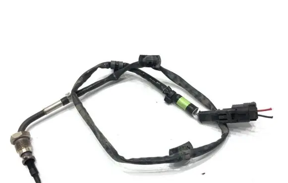 KIA Ceed Exhaust gas temperature sensor 3923004CD0