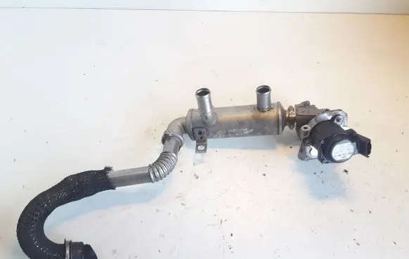 EGR valve