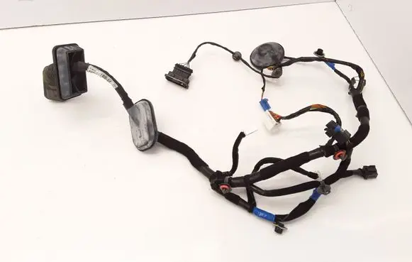 Hyundai Grandeur Front door wiring loom 916103L070