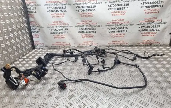 Volkswagen PASSAT B5 Engine installation wiring loom 8D1971072PB