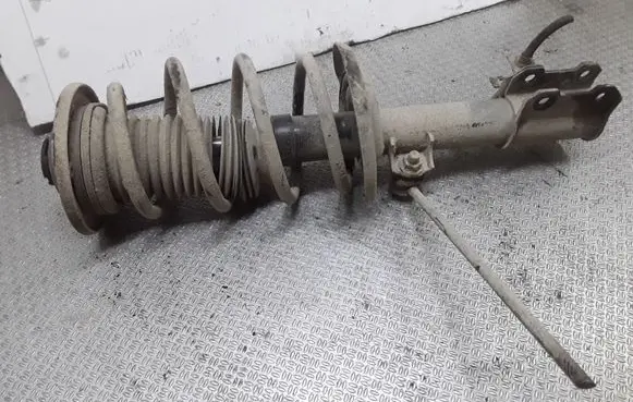 Opel Signum Front shock absorber with coil spring