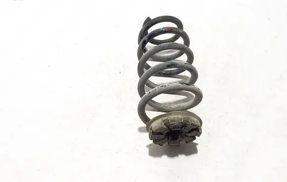 Rear coil spring