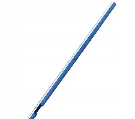 Chrysler Sebring (JS) Rear door trim (molding) 99963R