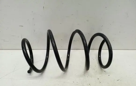 Front coil spring