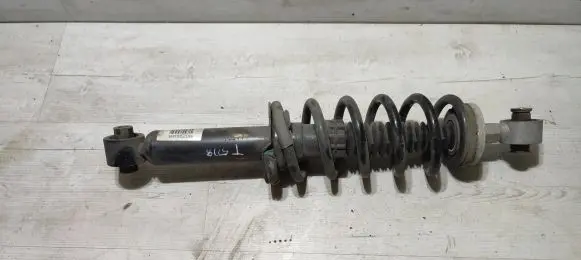 Peugeot 508 II Rear shock absorber with coil spring 9827882080
