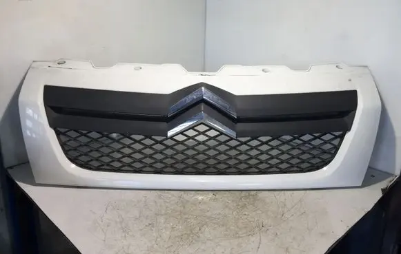 Front bumper upper radiator grill