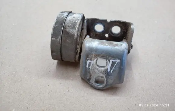 Renault Megane II Front door lower hinge 