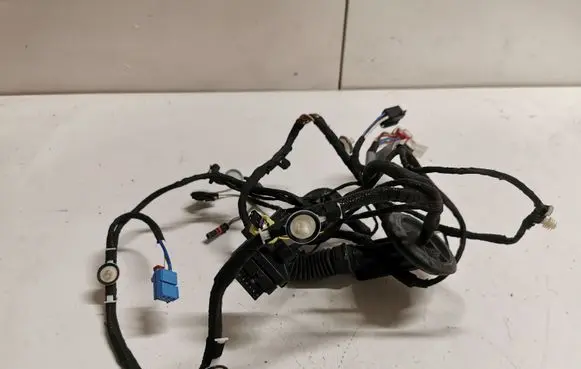 Audi Q5 SQ5 Front door wiring loom 80A971030E