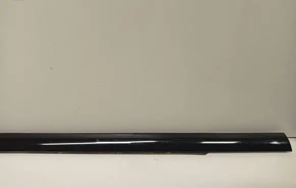 BMW X5 E53 Front door glass trim molding 6157931