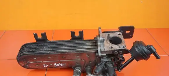 Volkswagen Touareg I EGR valve cooler 070131512B BAC